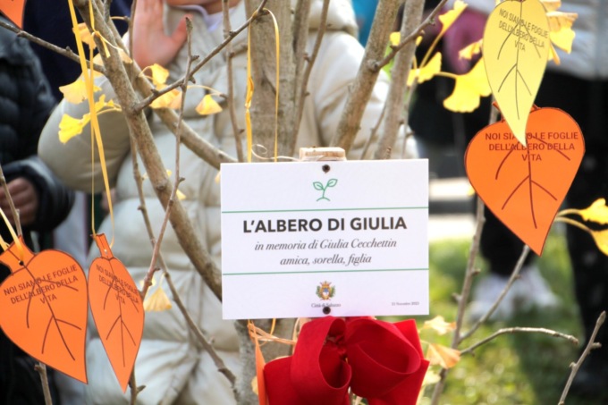 Il ginko biloba per Giulia Cecchettin