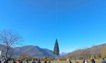 L’albero di Natale di Papa Francesco è partito da Macra