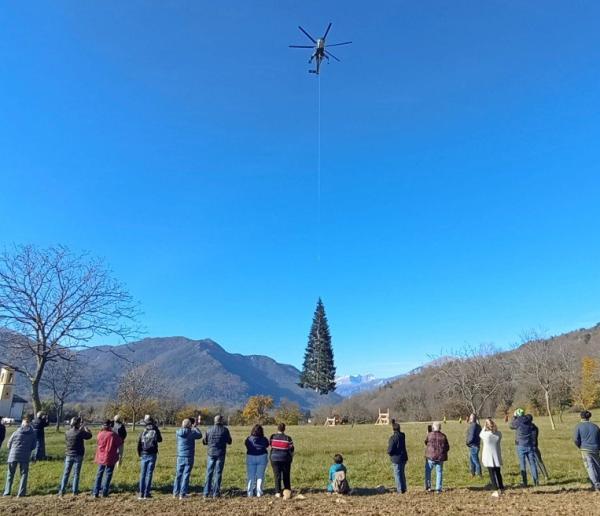 L’albero di Natale di Papa Francesco è partito da Macra