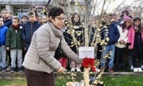 Un ginkgo per la Festa dell’Albero