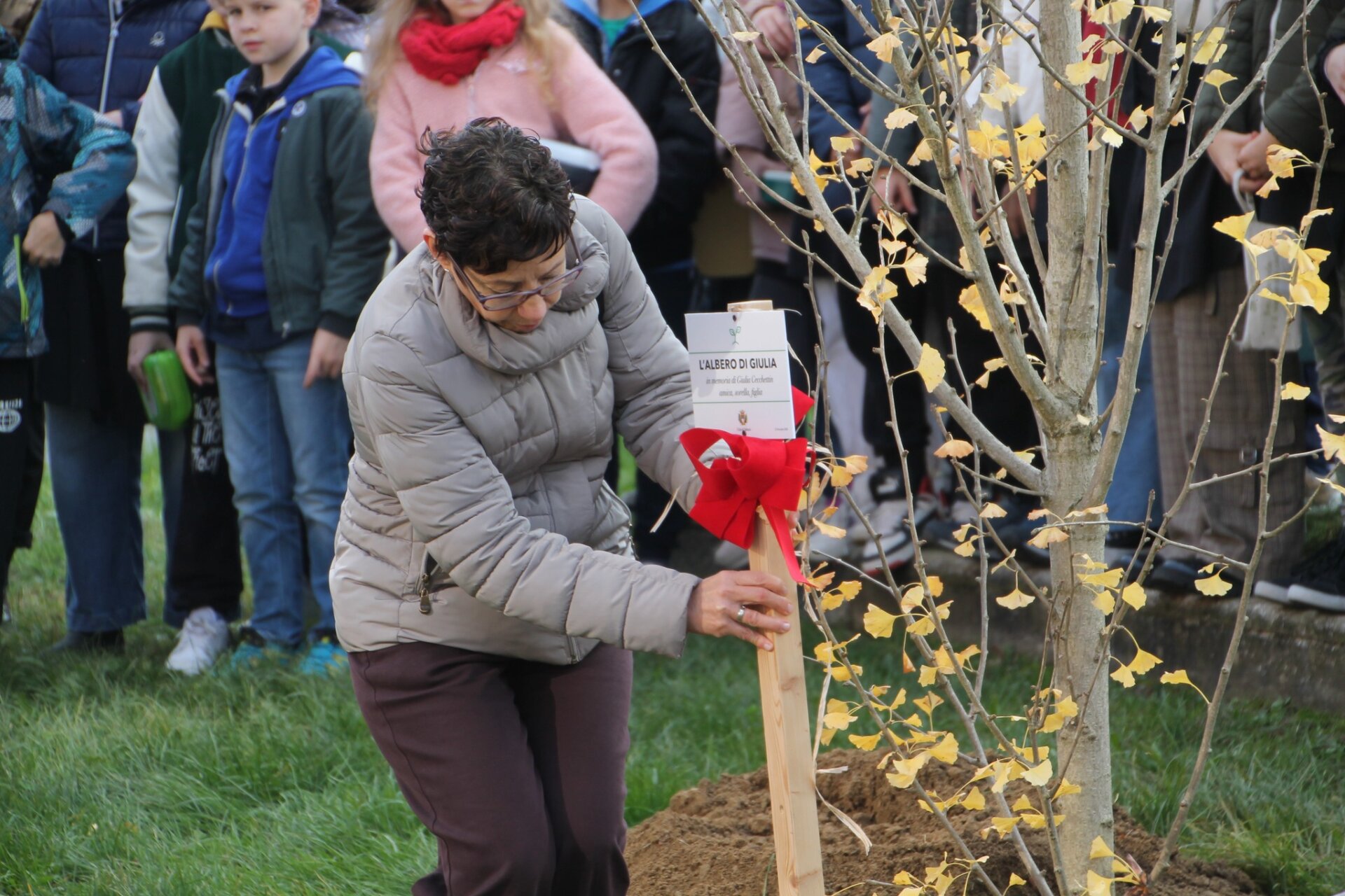 piantato albero