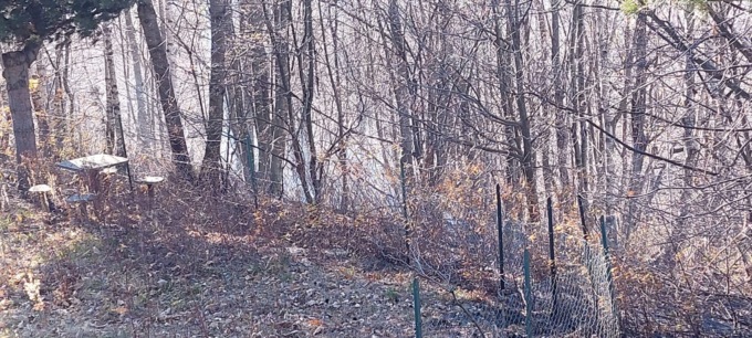 L’AIB e i Vigili domano un incendio sulle colline di Barge