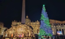 In piazza San Pietro l’abete della val Maira