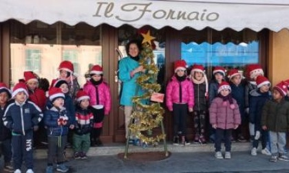 «Gli alberi di Natale li portiamo noi» I bambini di Cervignasco