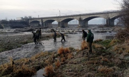 I nidi di Trota marmorata nel fiume Pellice tra Vigone e Villafranca