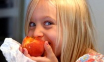 Bio Fruit Service festeggia i 25 anni pionieri del baby food nell’ortofrutta