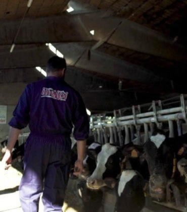 L’Inalpi sulla protesta degli agricoltori «Capire le ragioni e aprire al confronto»