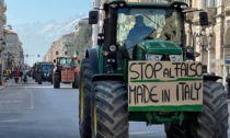 Esplode la rabbia degli agricoltori manifestazioni, blocchi, cortei