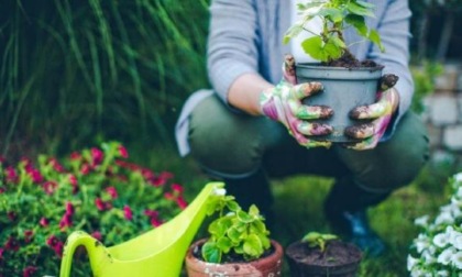 Gli attrezzi da giardino indispensabili al “pollice verde”