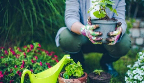 Gli attrezzi da giardino indispensabili al “pollice verde”