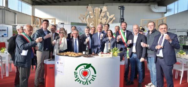 Venerdì 5 Fruttinfiore, tutto pronto Torna “Fior di Pro loco”