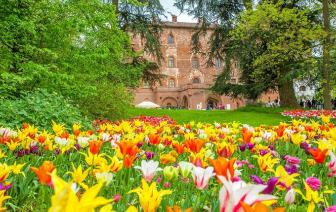 Pralormo, 100 mila tulipani per Messer Tulipano