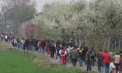 Domenica la camminata tra i frutteti in fiore