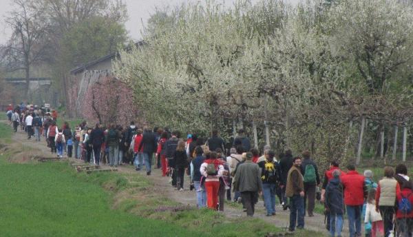 Domenica la camminata tra i frutteti in fiore