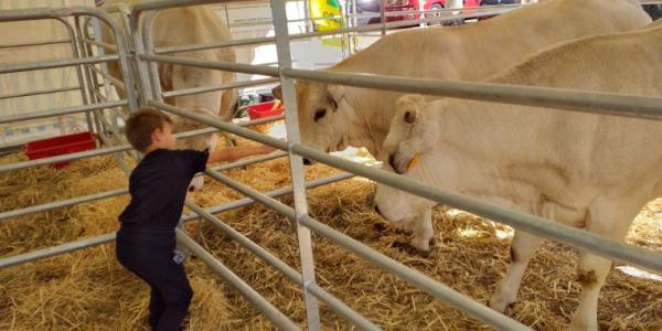 La tradizione della “bianca” unisce Cavour al lavoro agricolo