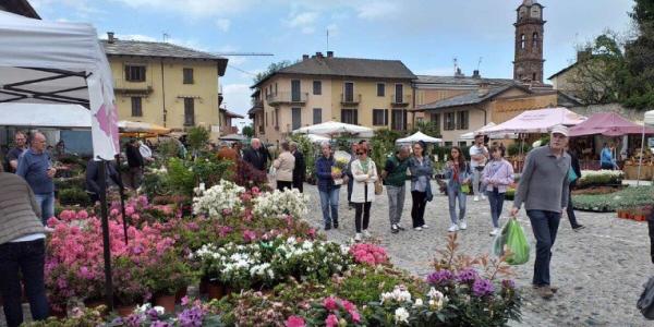 Fioriture, profumi e colori Il vivaismo sotto la Rocca