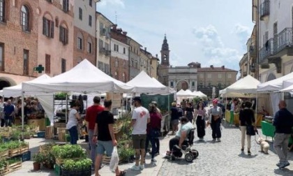 QuintEssenza i profumi del mondo