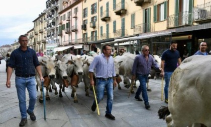 Quel fascino senza tempo della Rudunà a Saluzzo