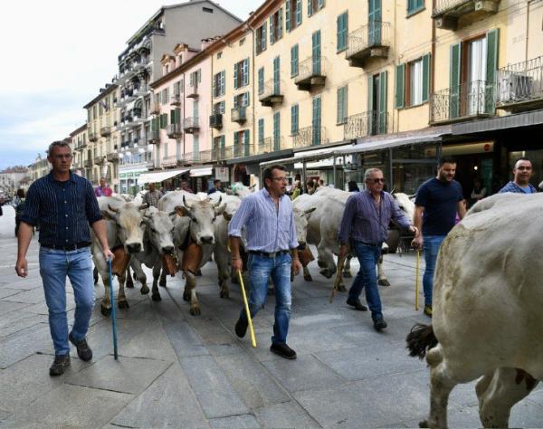 Quel fascino senza tempo della Rudunà a Saluzzo