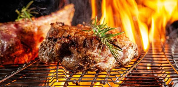 L’abc del barbecue guida al piacere della grigliata