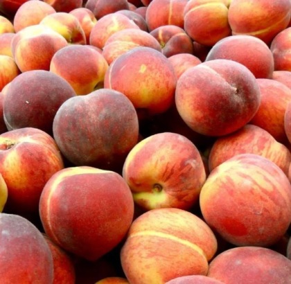 Pesche e nettarine, meno prodotto: buone attese per il prezzo
