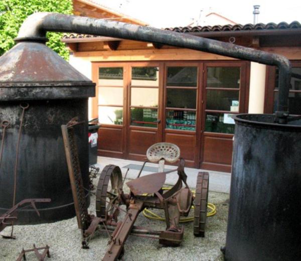Il Villaggio delle Erbe di piazza San Nicolao