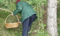 Precipita in un burrone mentre cercava funghi: morto un 70enne