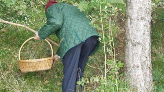 Precipita in un burrone mentre cercava funghi: morto un 70enne