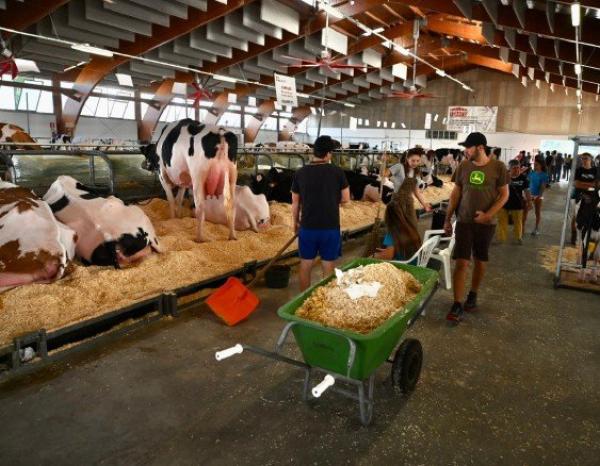 I vincitori della mostra zootecnica edizione 2024