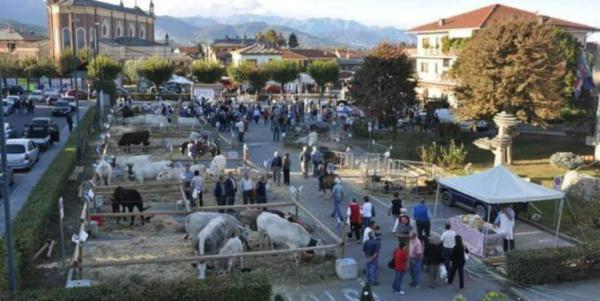 Cavalli, musica e tradizione tre giorni “country” a Bagnolo