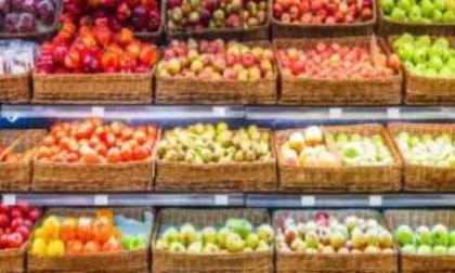 I conti dell’ortofrutta Tiene l’export