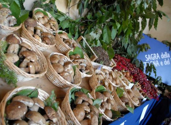 Funghi & castagne È Sagra a Rossana