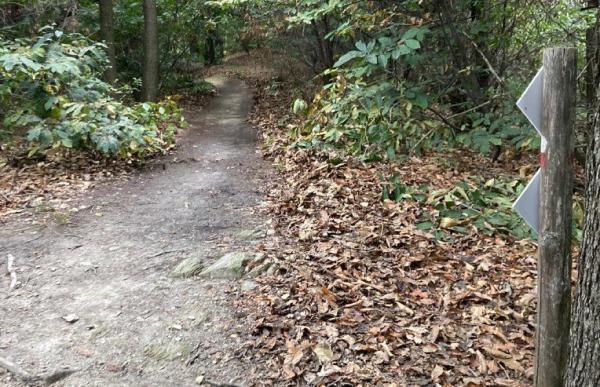 Gli esperti di mtb sistemano i sentieri