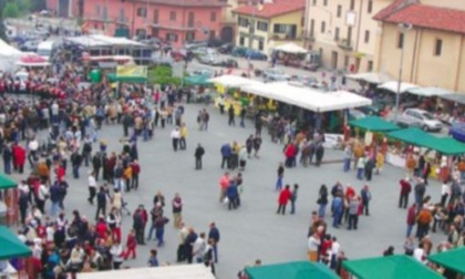 Pagno si tira a lucido per l’autunno