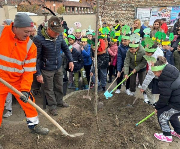 La Festa dell’albero nei paesi della piana