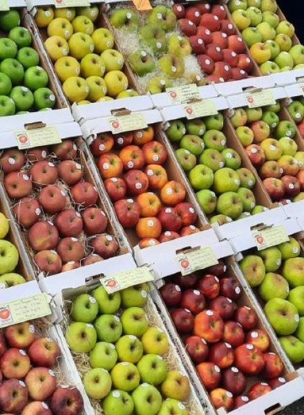 Le mele a chilometro zero Dove e da chi comprarle