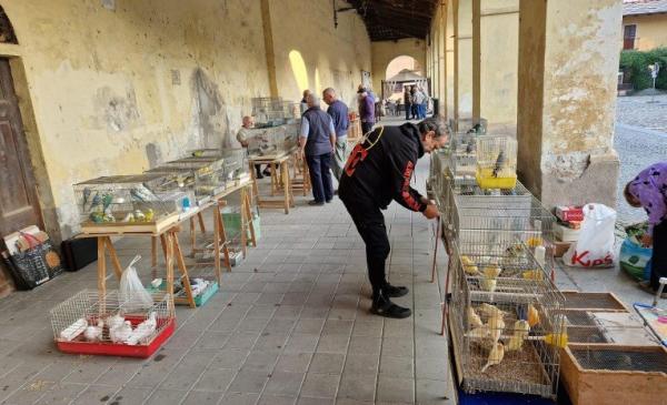 Tuttomele non si ferma Ecco il secondo weekend