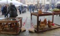 Lunga storia senza sosta tranne per la Pandemia