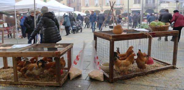 Lunga storia senza sosta tranne per la Pandemia