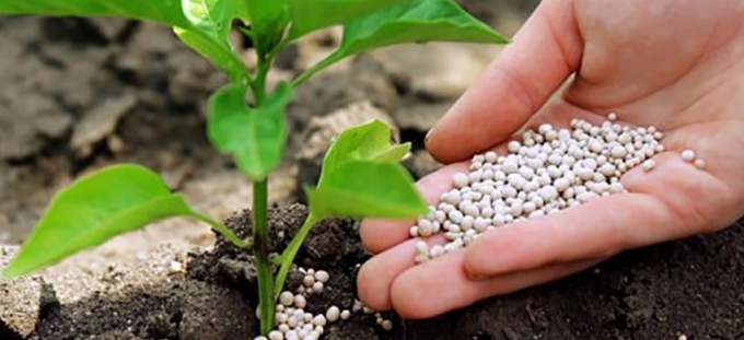 Fertilizzanti alle stelle