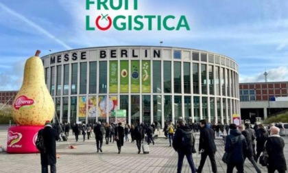 C’è Fruit Logistica a Berlino, l’Italia al primo posto per espositori