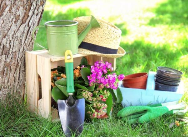Gli attrezzi da giardino per il vero pollice verde