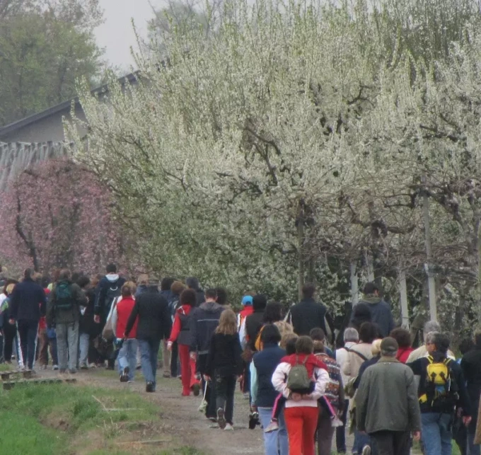 La “Cursa ‘d Pumalin” tra i frutteti