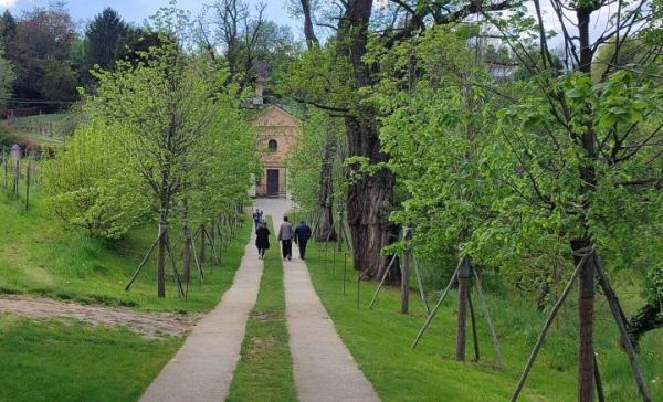 Riaperti il parco e il viale di villa Belvedere Radicati