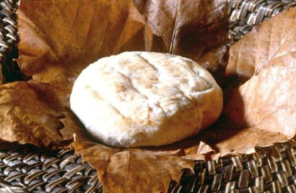 Un viaggio a Banon in Provenza, culla del miglior formaggio caprino