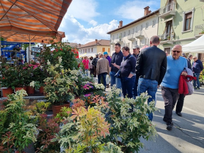 Vigone in vetrina tra fiori e profumi