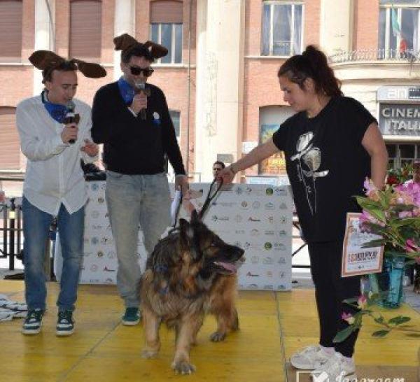 Una domenica con gli amici a 4 zampe con “Nen mac tabui”