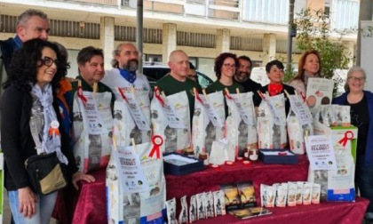 Una domenica con 50 cani in passerella a “Nen mac Tabui”