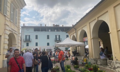 Un weekend floreale di successo per Cavour in fiore 2025