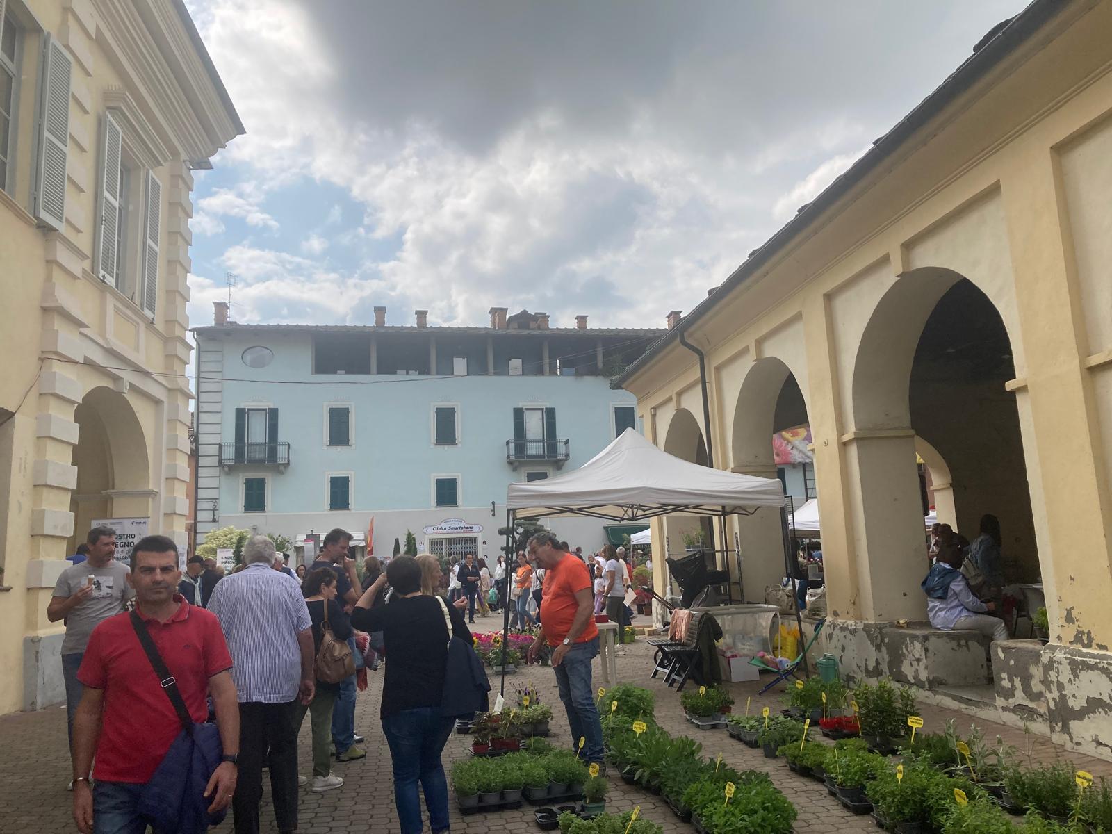cavour fiori 2025